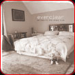 Everclear-