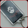 Buckcherry - Skull Key Chain